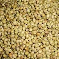 Coriander Seeds