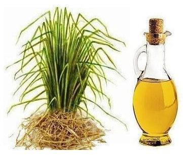 Vetiver Essential Oil