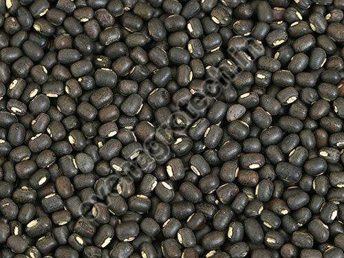 Whote Black Urad Dal