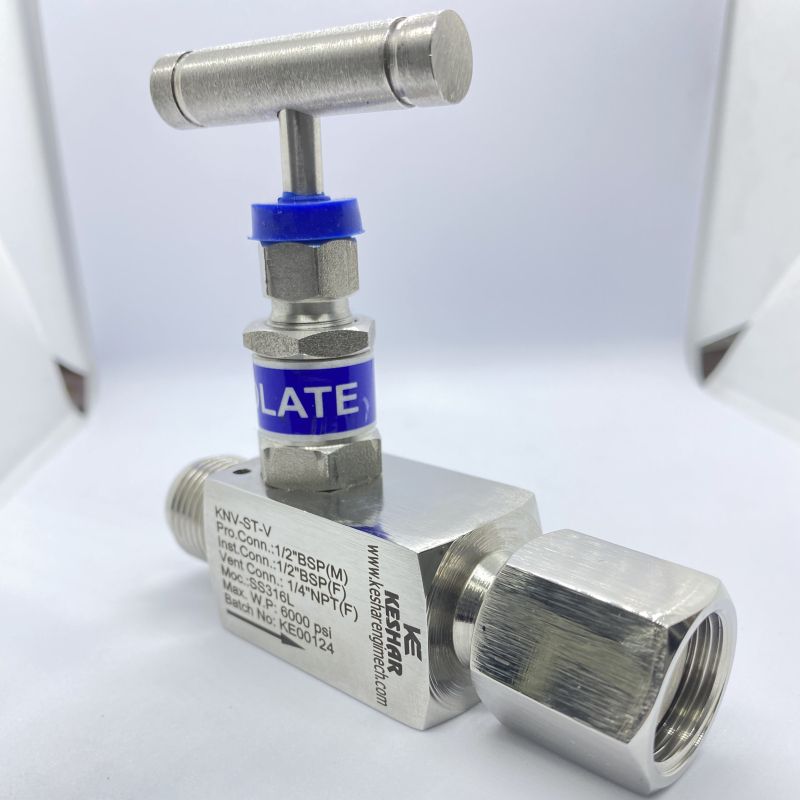 Swivel Type Needle Valve