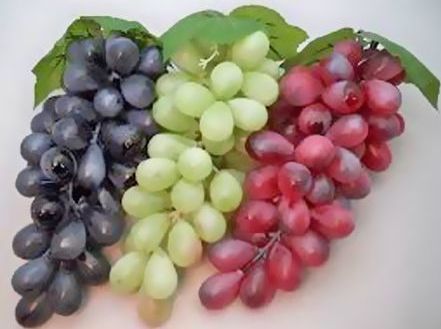 https://2.wlimg.com/product_images/bc-full/2023/9/12132331/fresh-organic-grapes-1690347659-6999861.jpeg