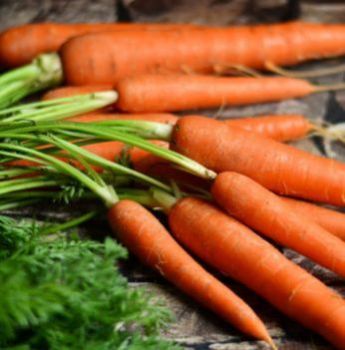 Fresh Carrot