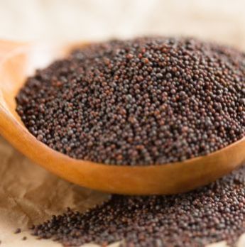 Mustard Seeds