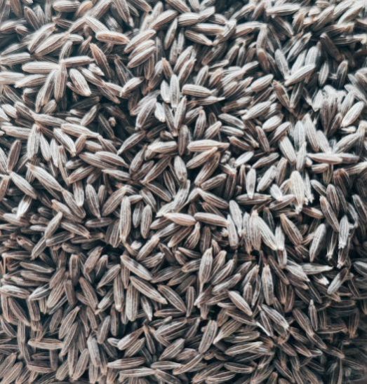 Cumin Seeds