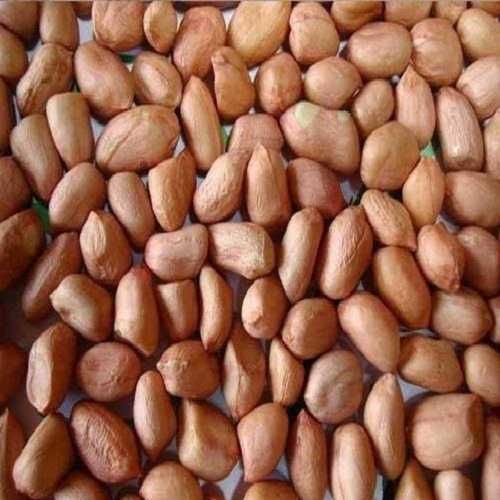 Dried Groundnut Seed