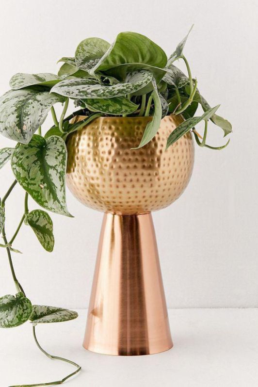 Designer Metal Planter