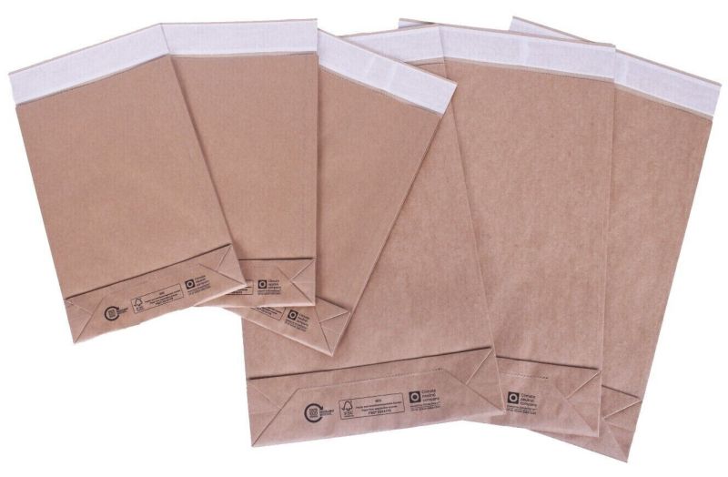 Plain Brown Paper Mailer Bag