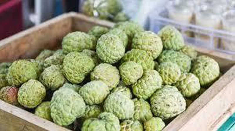 Fresh Custard Apple