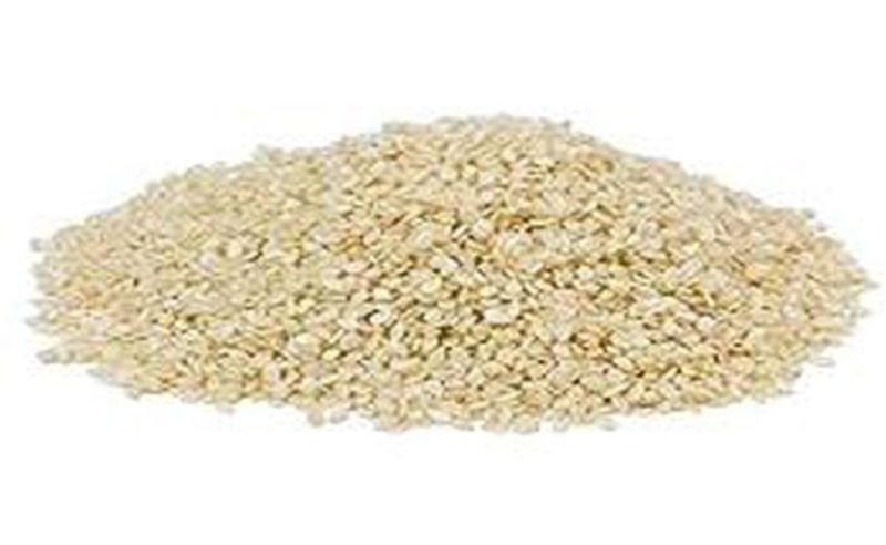 Agro Food Grains