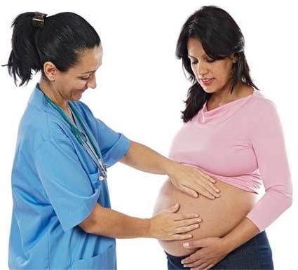 Pregnancy Consultation Services