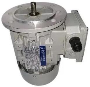 2 HP Electric Motor