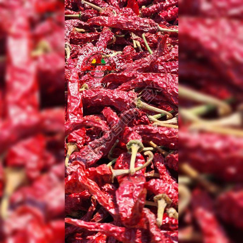 Byadgi 2043 Chilli