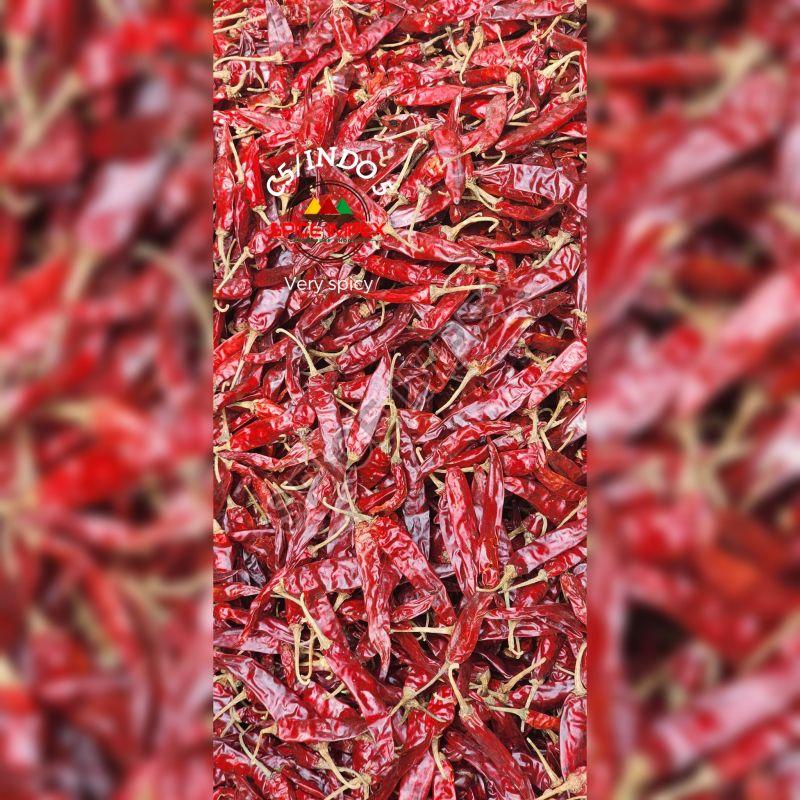 No 5 Red Chilli