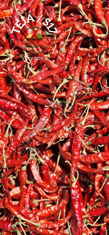 Teja Chilli