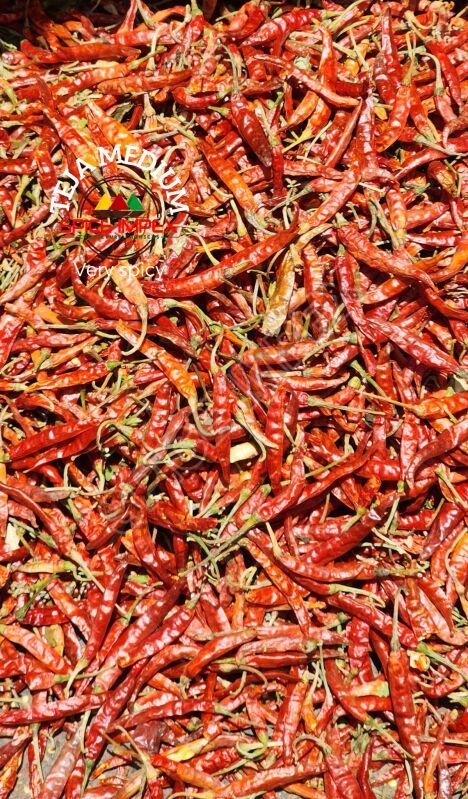 Teja Medium Chilli