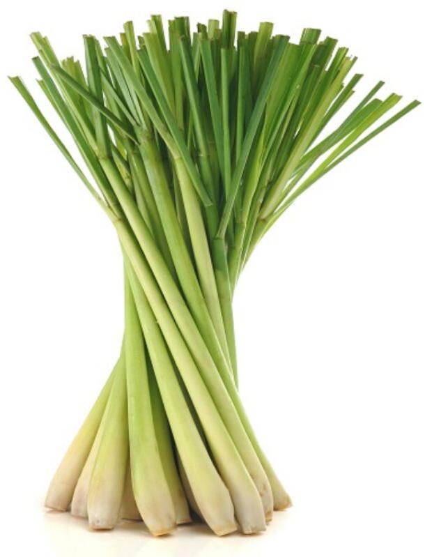 Fresh Lemongrass