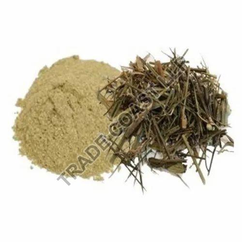 Chirata Powder