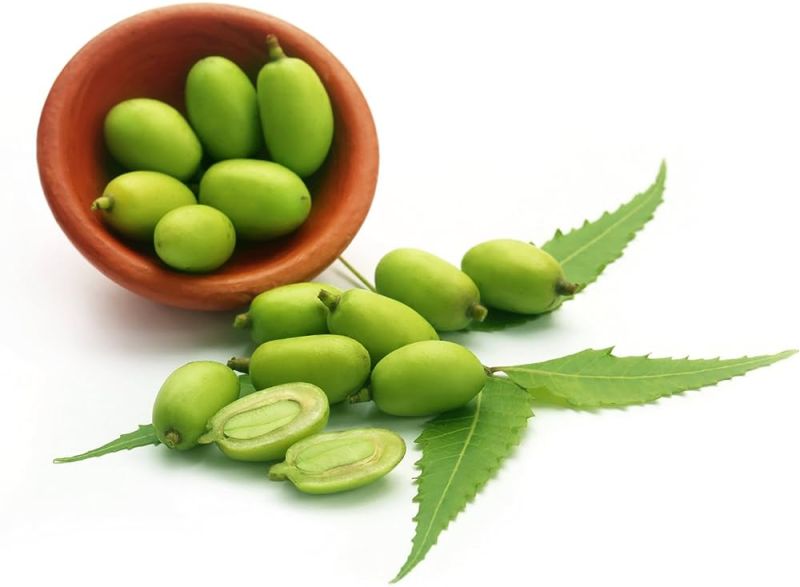 Neem Fruit