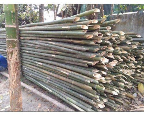 Round 5inch Bamboo Pole