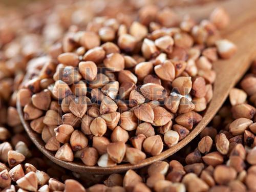Buckwheat Millet Seed