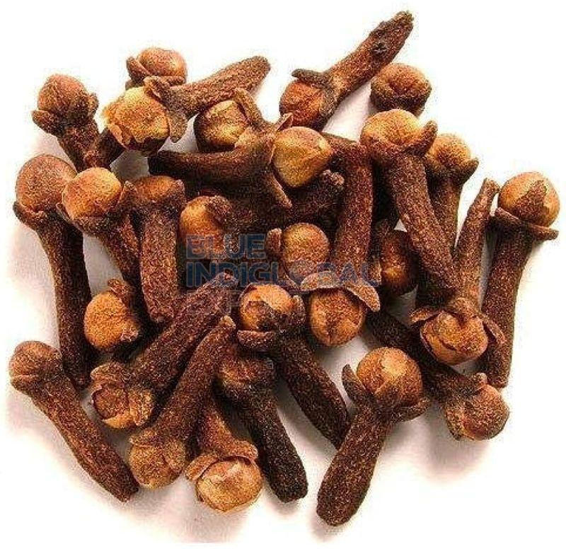 Cloves Seed