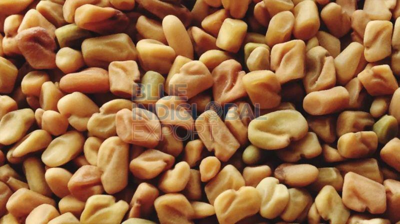 Fenugreek Seed