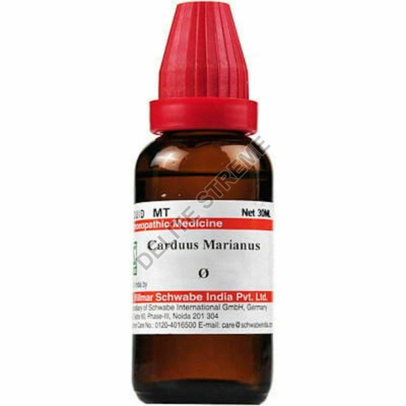 Dr Willmar Schwabe India Carduus Marianus Mother Tincture Q