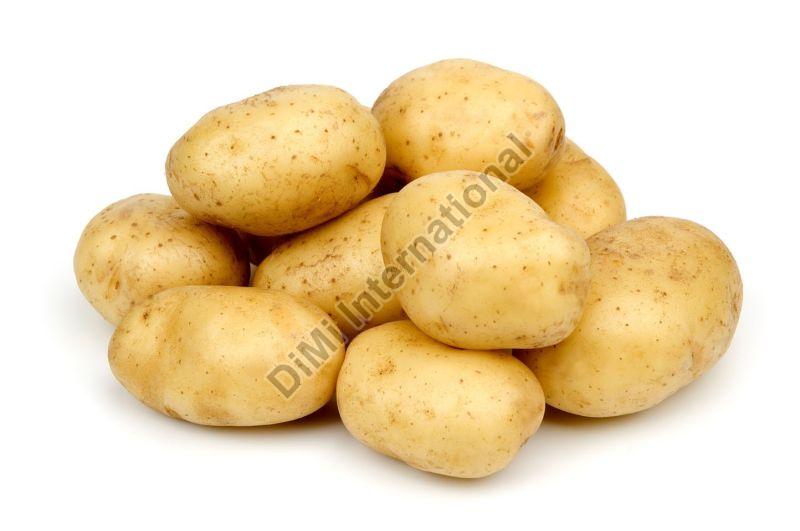 fresh potato