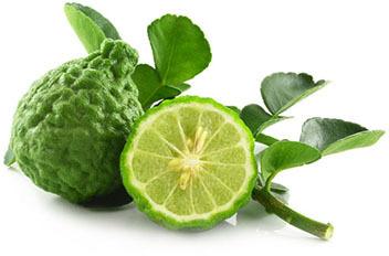 Fresh Lemon Kaffir Lime Leaf
