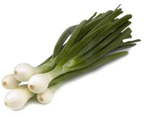 Fresh Spring Onion