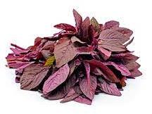 Red Amaranth / Red Molai Leaves