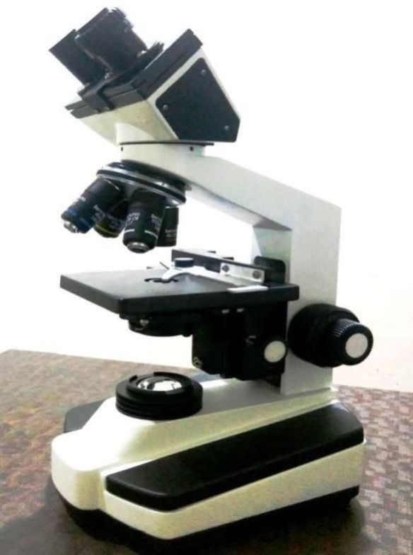 Binocular Coaxial Microscope CXL