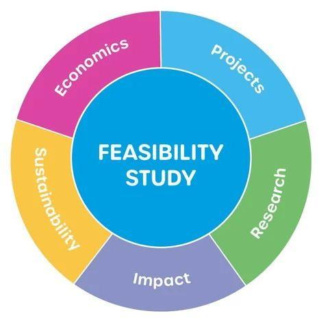 Feasibility Study Consulting Services