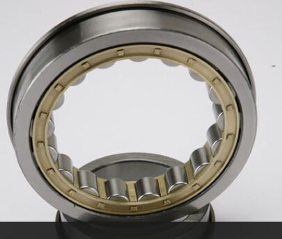 Cylindrical Roller Bearings