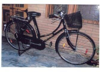 Raleigh hercules store bicycle