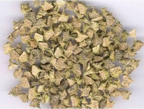 Gokhru Seeds