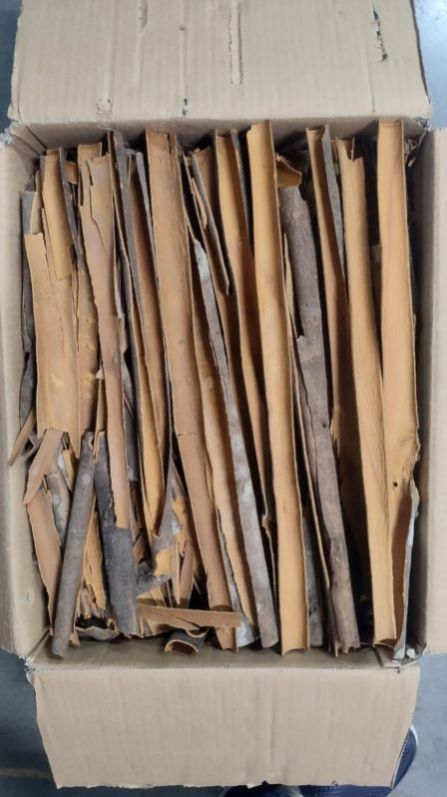 Split Cassia
