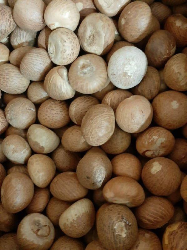 Dried Betel Nuts
