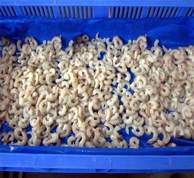 Frozen Pud Poovalan Shrimps