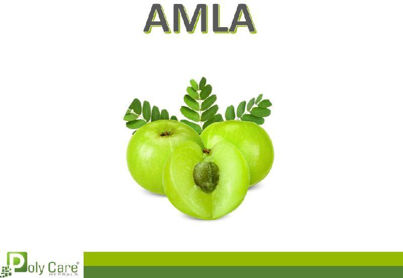 Ayurvedic Amla Tablet