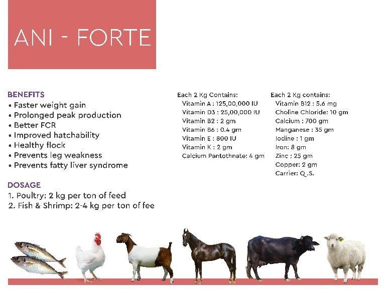 ANi-Forte Poultry Feeds Supplements