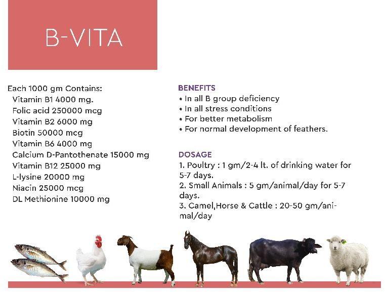 B-Vita Poultry Feeds Supplements