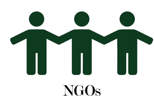 Non-Profit Organisation (NGO)