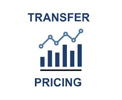 Transfer Pricing Audit Service