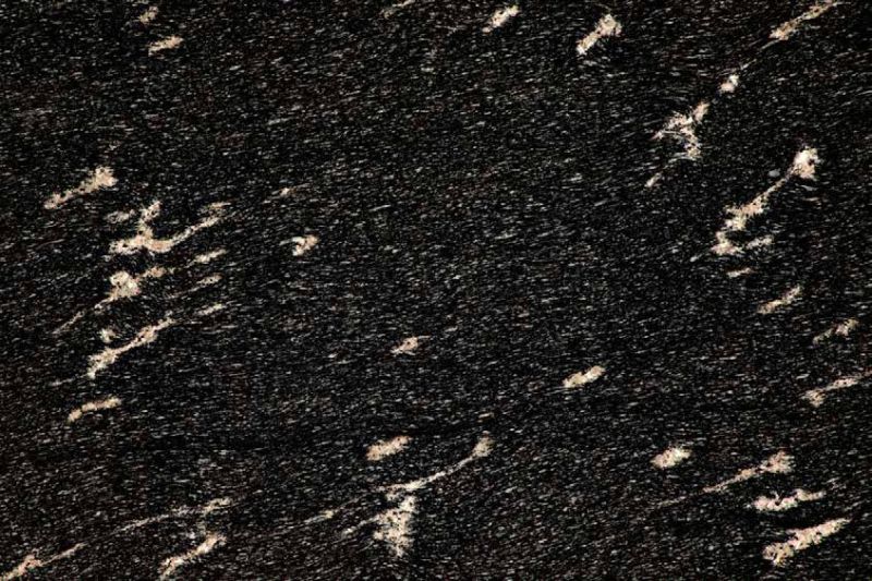 Fish Black Granite Slab