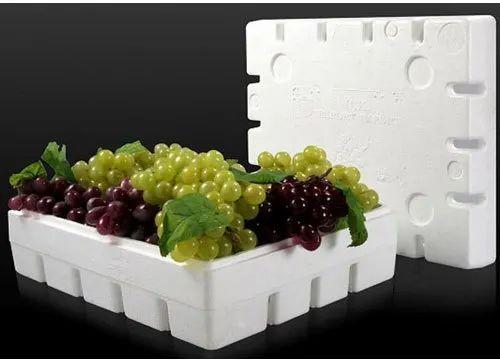 Thermocol Fruit Packaging Boxes