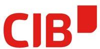 CIB Consultancy Services
