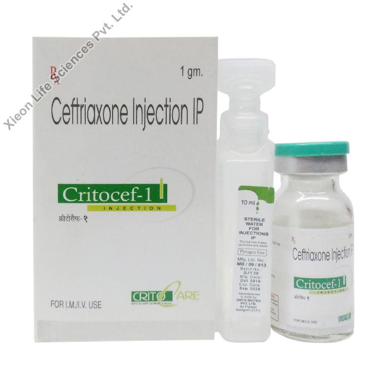 Critocef-1 Injection