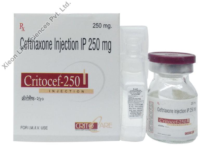 Critocef-250 Injection