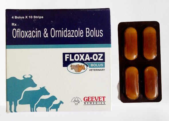 Ofloxacin and Ornidazole Bolus